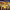 https://res.cloudinary.com/billionhands/image/upload/v1767953485/items/uw2ekeqtnsntwu8vubnq.avif-2cover
