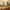 Poncelet Cheese Bar cover