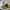 https://res.cloudinary.com/billionhands/image/upload/v1767954052/items/qmtxdutvk4u4egdknqtu.webp-1cover