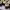https://res.cloudinary.com/billionhands/image/upload/v1767954054/items/v5yp3rgz22lst9vqzkam.jpg-2cover