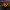 https://res.cloudinary.com/billionhands/image/upload/v1767954143/items/kpvt0cjar6mb4nnnvqox.png-2cover