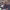 Fuego Lento Social cover