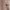 https://res.cloudinary.com/billionhands/image/upload/v1767955021/items/vdy4tctp2cujs05boxm5.jpg-2cover