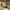 https://res.cloudinary.com/billionhands/image/upload/v1767955311/items/ubyyhyakk9bvter2bulu.jpg-2cover