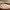 https://res.cloudinary.com/billionhands/image/upload/v1767956582/items/od3xotbsyts5gy24wlvb.jpg-3cover