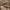 https://res.cloudinary.com/billionhands/image/upload/v1767959157/items/ugmngpthvvdkstrmdebu.avif-2cover