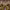 https://res.cloudinary.com/billionhands/image/upload/v1768029917/items/nzrk41rgsrpafs1vgjkb.jpg-0cover