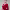 https://res.cloudinary.com/billionhands/image/upload/v1768116687/items/cgrct8arizwleug1mmko.webp-0cover