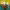 https://res.cloudinary.com/billionhands/image/upload/v1768116795/items/shlmrylcwpe3kbrmugyo.webp-2cover