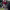 https://res.cloudinary.com/billionhands/image/upload/v1768116802/items/e6vsdknhvyo7mnfvberl.jpg-2cover
