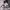 https://res.cloudinary.com/billionhands/image/upload/v1768203153/items/row8y7pfalf8fwlufcda.jpg-2cover