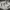 https://res.cloudinary.com/billionhands/image/upload/v1768203185/items/ndx4zgkokfmzfo1mzqoc.webp-2cover