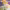 https://res.cloudinary.com/billionhands/image/upload/v1768221818/items/wcbddg5fyegcqpoymvnh.jpg-1cover