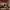 https://res.cloudinary.com/billionhands/image/upload/v1768221846/items/y7p823lfgb2vafx47ulz.jpg-3cover
