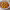 https://res.cloudinary.com/billionhands/image/upload/v1768233002/items/cxyar4zdiaegm26rjuww.jpg-0cover