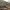 https://res.cloudinary.com/billionhands/image/upload/v1768233450/items/knvor19ap9lqaqxz7euq.webp-0cover