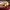 https://res.cloudinary.com/billionhands/image/upload/v1768237710/items/gai2vavby9pvocmshbqi.webp-3cover