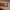 https://res.cloudinary.com/billionhands/image/upload/v1768289655/items/s6xnu21efdahhlkljaxe.jpg-1cover