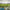 https://res.cloudinary.com/billionhands/image/upload/v1768289773/items/hnylhnymhji0t0mlyjbj.jpg-2cover