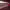 https://res.cloudinary.com/billionhands/image/upload/v1768289782/items/kbksotitve6of4h9lbhp.jpg-1cover