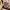 https://res.cloudinary.com/billionhands/image/upload/v1768304775/items/yxpllv4xonwipoq9gijf.avif-0cover