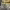 https://res.cloudinary.com/billionhands/image/upload/v1768320143/items/njmjrj13myb91ymvzqkd.jpg-3cover