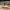 https://res.cloudinary.com/billionhands/image/upload/v1768322093/items/ixnet3hqtsiwxxuf51qe.jpg-3cover