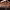 https://res.cloudinary.com/billionhands/image/upload/v1768322161/items/ixznxtetc25bc7l1j42r.jpg-2cover