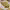 https://res.cloudinary.com/billionhands/image/upload/v1768322172/items/daqjngugymlwksrbujz1.webp-1cover