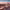 https://res.cloudinary.com/billionhands/image/upload/v1768322173/items/uo7cu67fbcd9zratl4lo.jpg-1cover