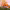 https://res.cloudinary.com/billionhands/image/upload/v1768376033/items/xttnhqvjzei54pbjcyns.webp-2cover
