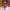 https://res.cloudinary.com/billionhands/image/upload/v1768376181/items/exxfezjlr9uaxyxkbljt.webp-1cover