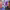 https://res.cloudinary.com/billionhands/image/upload/v1768376196/items/ywvnmi4vxxikv0pkrrfr.jpg-2cover
