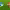 https://res.cloudinary.com/billionhands/image/upload/v1768376206/items/cwf4waeq7fpafrcmvujb.png-2cover