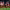 https://res.cloudinary.com/billionhands/image/upload/v1768376241/items/l63zcdoytojo5o5fsxyt.jpg-2cover