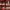https://res.cloudinary.com/billionhands/image/upload/v1768389722/items/fsh4bzenitfztqzrskjh.webp-2cover