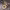 https://res.cloudinary.com/billionhands/image/upload/v1768389728/items/obgzxcrxipgdmw2qva9m.webp-3cover