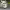 https://res.cloudinary.com/billionhands/image/upload/v1768411039/items/dlsdbwcintnfb2yaopbj.jpg-0cover