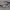 https://res.cloudinary.com/billionhands/image/upload/v1768411823/items/tvy0h0vope5b1sgu11ou.webp-1cover