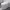 https://res.cloudinary.com/billionhands/image/upload/v1768411847/items/abkwezfjwjg7tr6bnyvk.jpg-2cover