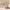 https://res.cloudinary.com/billionhands/image/upload/v1768412116/items/n9blengyb8fsam5jm5p3.webp-1cover
