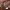 https://res.cloudinary.com/billionhands/image/upload/v1768412449/items/j4xdwi7a5vgnssllfawt.jpg-0cover
