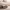 https://res.cloudinary.com/billionhands/image/upload/v1768466722/items/rbvfkxzicjpsntp8k7nv.jpg-0cover