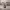 https://res.cloudinary.com/billionhands/image/upload/v1768466736/items/aqvvsunxuzyphwhyrezb.jpg-0cover