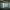 https://res.cloudinary.com/billionhands/image/upload/v1768466776/items/ifu95c8eoutiu17ny6h8.jpg-2cover