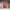 https://res.cloudinary.com/billionhands/image/upload/v1768466789/items/xi83ifpwpr3xtxnttqyz.jpg-0cover