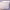 https://res.cloudinary.com/billionhands/image/upload/v1768466827/items/zfkb2xwy8ntqkkokntay.webp-2cover