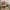 https://res.cloudinary.com/billionhands/image/upload/v1768469378/items/e38pzzfhhnaawfwnqhlt.jpg-2cover