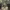 https://res.cloudinary.com/billionhands/image/upload/v1768469385/items/zwgirh1kmzcfqlwz3prb.jpg-0cover