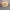 https://res.cloudinary.com/billionhands/image/upload/v1768469467/items/zbdoxkbdclxmepdnrbk9.jpg-0cover